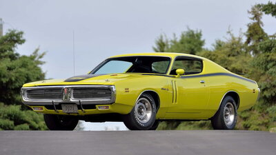 Yellow Bee.jpg Yellow Bee.jpg