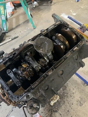 2C69E818-D165-4D10-ACE4-DF769C5A8CD5.jpeg 2C69E818-D165-4D10-ACE4-DF769C5A8CD5.jpeg