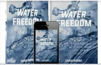 Screen Shot 2021-08-04 at 7.17.47 PM.png