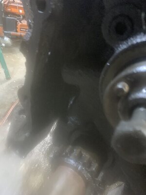 12185715-745F-4976-BF9D-F9F09A53BA8D.jpeg 12185715-745F-4976-BF9D-F9F09A53BA8D.jpeg