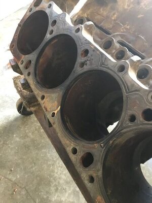 IMG_5893.jpg IMG_5893.jpg