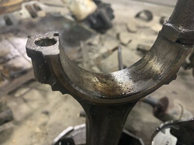 4BAD488F-CA77-48BC-9E93-B83862B7322F.jpeg 4BAD488F-CA77-48BC-9E93-B83862B7322F.jpeg