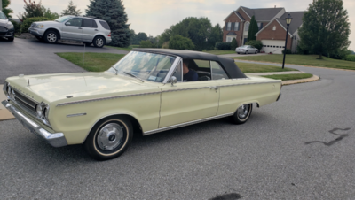 Untitled design (3).png Untitled design (3).png