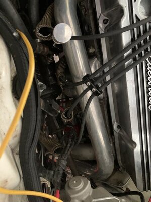 6F5ABAE5-8D7C-4ABF-AE2F-8E3D5C3703D7.jpeg 6F5ABAE5-8D7C-4ABF-AE2F-8E3D5C3703D7.jpeg