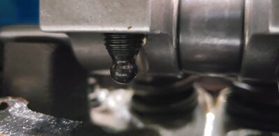 20210809_144424.jpg 20210809_144424.jpg