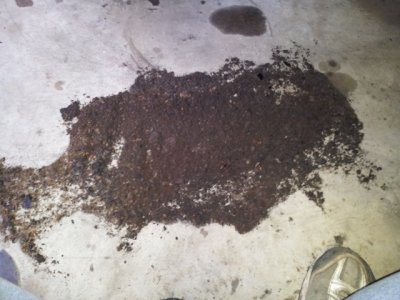 sm-dirtcollected.jpg sm-dirtcollected.jpg