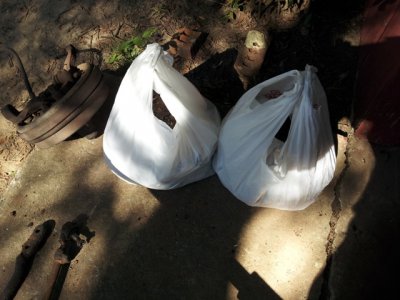 sm-twobagsfull.jpg sm-twobagsfull.jpg