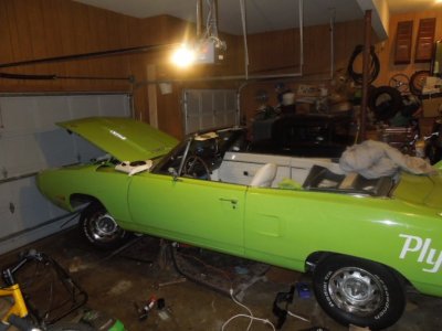 viper back inDSCN09061.JPG