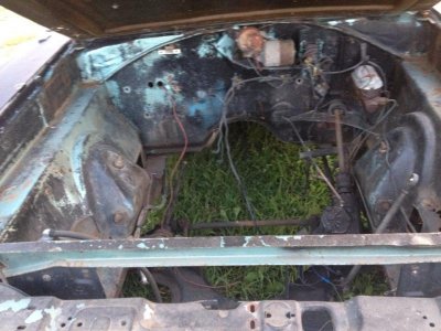 66enginebay.jpg 66enginebay.jpg