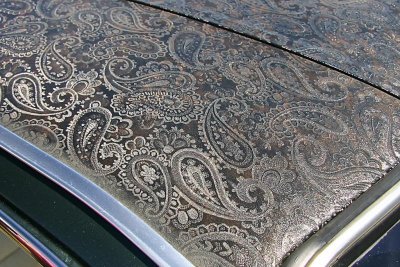 IMG_7522_cropped[1].jpg