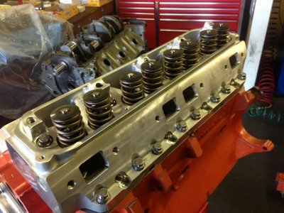 IMG_1365.jpg IMG_1365.jpg