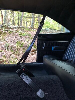 91080498-754D-4DF4-B18A-C3469B1FBCD2.jpeg 91080498-754D-4DF4-B18A-C3469B1FBCD2.jpeg