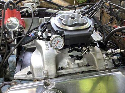 438FFF34-3446-4092-AC74-B31776C9FB51.jpeg 438FFF34-3446-4092-AC74-B31776C9FB51.jpeg