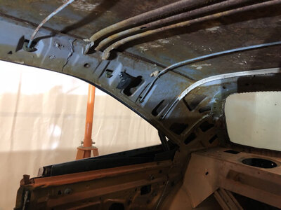 1F52FB5A-319A-4308-AD0C-CB1807DAD6F5.jpeg 1F52FB5A-319A-4308-AD0C-CB1807DAD6F5.jpeg