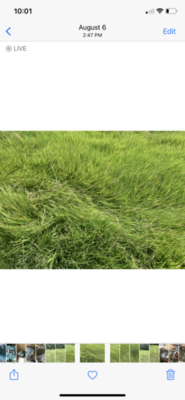 8733E021-EC33-4706-A4FE-D68602C64217.png