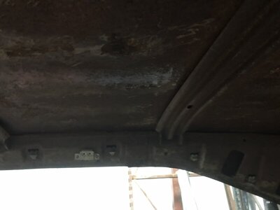 79087E0C-9327-4151-AEBF-09A0192E0C0B.jpeg 79087E0C-9327-4151-AEBF-09A0192E0C0B.jpeg