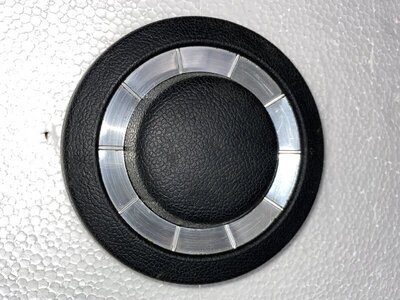 70 71 A Body B Body Horn Button 1.jpg