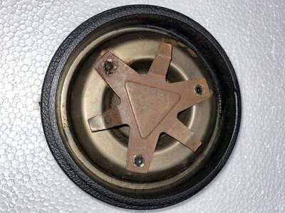 70 71 A Body B Body Horn Button 2.jpg 70 71 A Body B Body Horn Button 2.jpg