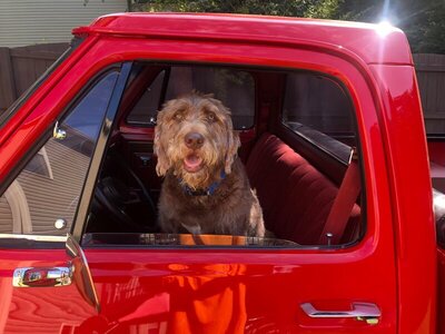 Truck ride 2.jpg