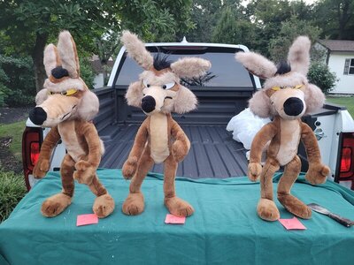 RR n Wile2.jpg RR n Wile2.jpg