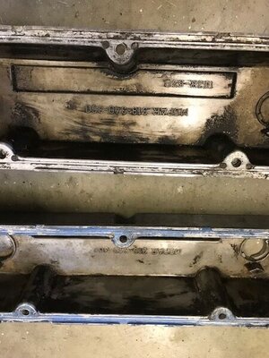 IMG_1993.jpg IMG_1993.jpg