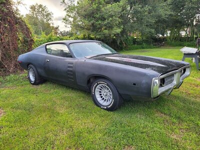 228684559_10159548214883838_4050308583756659664_n.jpeg 228684559_10159548214883838_4050308583756659664_n.jpeg