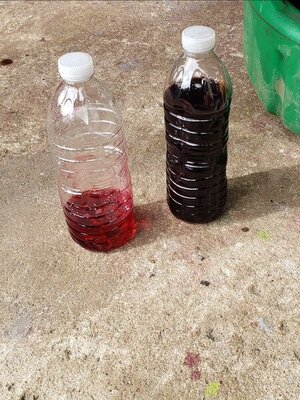 Screenshot_20210829-205954_Gallery.jpg Screenshot_20210829-205954_Gallery.jpg