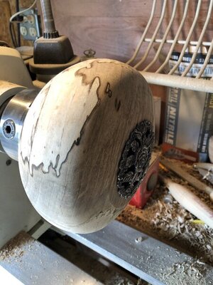 43A553EB-006C-4916-8B4E-C3622593A419.jpeg 43A553EB-006C-4916-8B4E-C3622593A419.jpeg