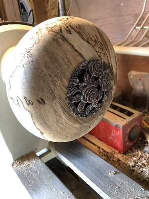 36876DE3-065C-4A7B-8830-6983EDD7E795.jpeg 36876DE3-065C-4A7B-8830-6983EDD7E795.jpeg