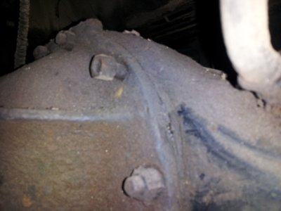 lookwhatifound.jpg lookwhatifound.jpg