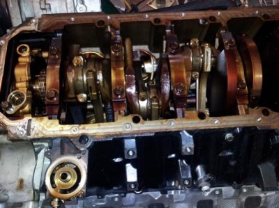 sm-insidehemi.jpg sm-insidehemi.jpg