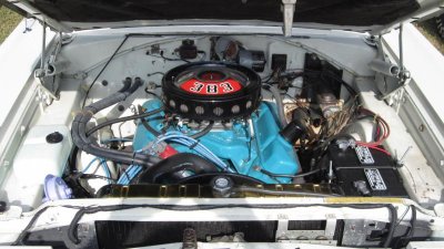 IMG_1396.jpg