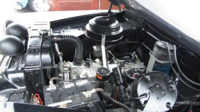 IMG_1490.jpg