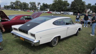 IMG_1503.jpg
