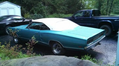 IMG_20130827_065557_010.jpg IMG_20130827_065557_010.jpg