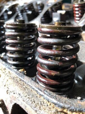 thumbnail_IMG_1147.jpeg thumbnail_IMG_1147.jpeg