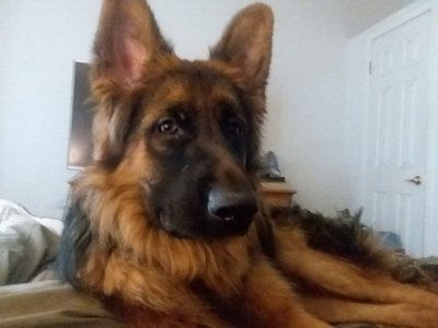 20210728_143032.jpg 20210728_143032.jpg