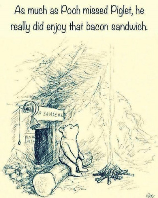 ?u=https%3A%2F%2Fpics.me.me%2Fas-much-as-pooh-missed-piglet-he-really-did-enjoy-48487345.png