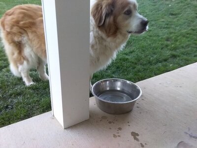 20210625_195541.jpg 20210625_195541.jpg