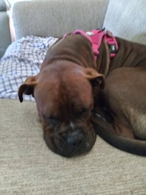 20210818_161404_HDR.jpg 20210818_161404_HDR.jpg