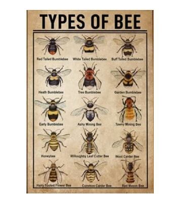 8397_n.jpg?_nc_cat=106&ccb=1-5&_nc_sid=843cd7&_nc_ohc=qUtxmGNffM4AX-vkR3K&_nc_ht=scontent-ort2-1.jpg