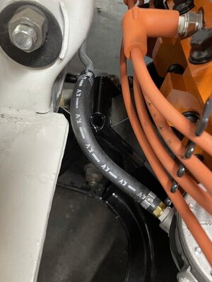 IMG_2365.jpg IMG_2365.jpg