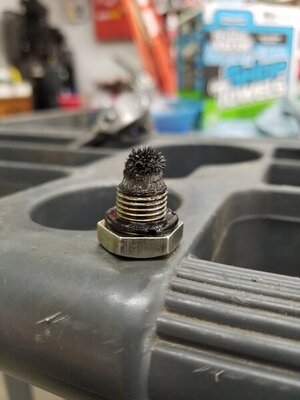 20210724_122040.jpg 20210724_122040.jpg