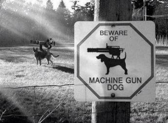 Machinegun dog.jpg