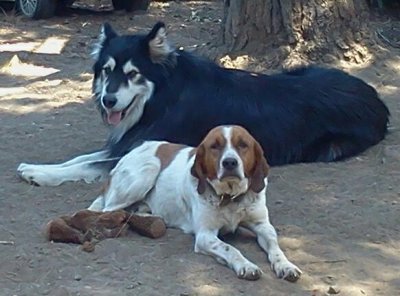 2013-05-17 13.08.00-2.jpg