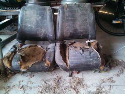IMG_20131202_172810_817[1].jpg