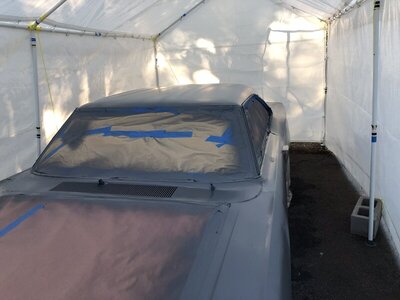 CB81E0B5-EC3D-4D3E-8283-48FBA6348A8D.jpeg CB81E0B5-EC3D-4D3E-8283-48FBA6348A8D.jpeg