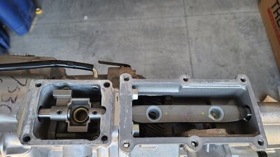 20210926_172502.jpg 20210926_172502.jpg