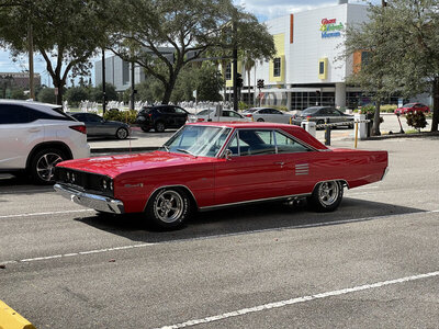 IMG_2211.jpeg IMG_2211.jpeg