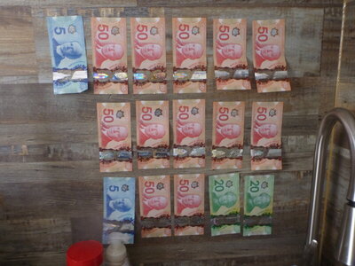 shredderchampion338 006.JPG shredderchampion338 006.JPG